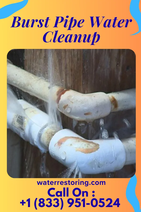 Burst Pipe Water Cleanup in Shelbyville, MO