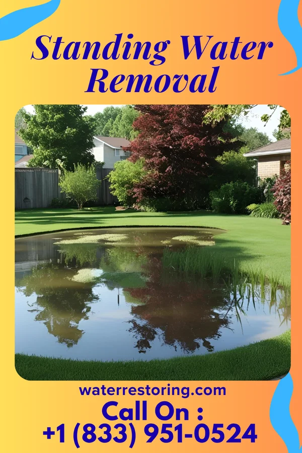 Standing Water Removal in Shelbyville, MO